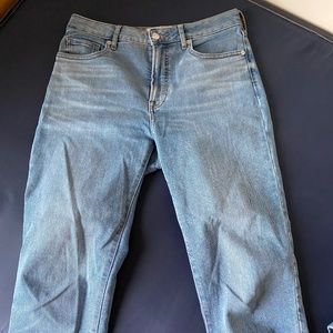 Everlane Curvy High Rise Jeans